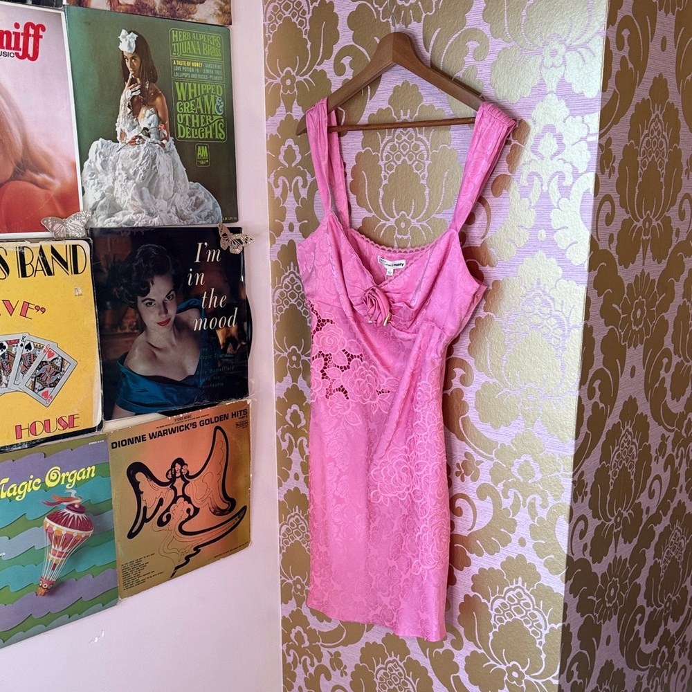 Claudia Pink Lace Mini Dress Size Large New With Tags